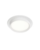 DK-DH2000-WH Denkirs light