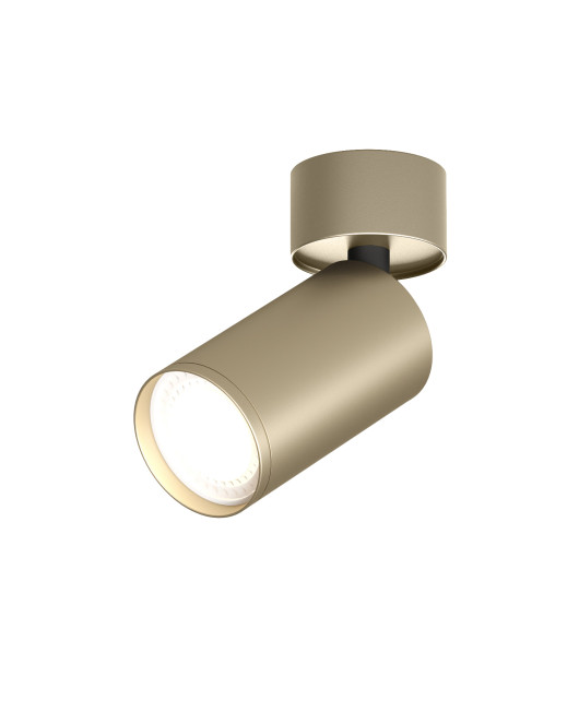 DK2029-GG Denkirs light