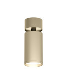 DK2029-GG Denkirs light