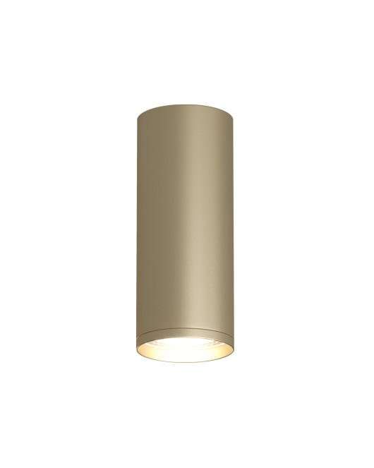 DK2051-SG Denkirs light