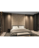 DK2051-SG Denkirs light