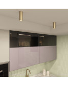 DK2051-SG Denkirs light
