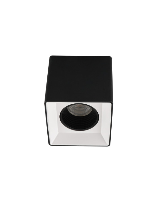 DK3080-BW+BK Denkirs light