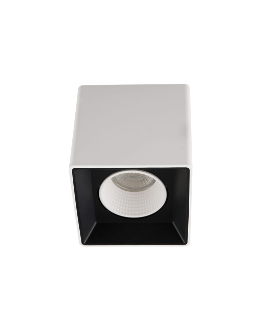 DK3080-WB+WH Denkirs light
