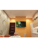 DK3090-WBR Denkirs light