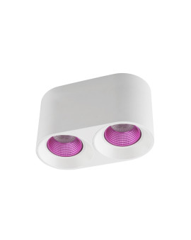 DK3096-WH+PI Denkirs light