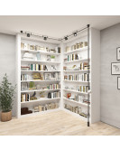 DK5541-WH+BK Поворотный светильник для трека-ремня Belty, серия Spot, со светодиодом, D100*H107мм, 48V DC, 12W, RA90, 38°, 3000K, IP20, белый с черным, алюминий DK5541-WH+BK Поворотный светильник для трека-ремня Belty, серия Spot, со светодиодом, D100*H107мм, 48V DC, 12W, RA90, 38°, 3000K, IP20, белый с черным, алюминий