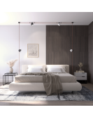 DK55SET16-01-BR Denkirs light