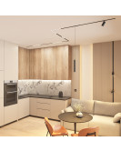 DK7405-BK Denkirs light