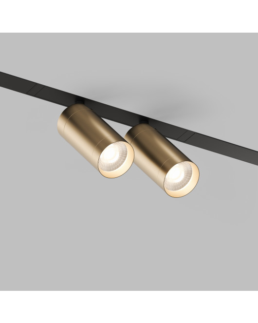 DK8012-BG Акцентный светильник SMART SPOT DOUBLE 2x9W DIM 3000K-6000K, матовое золото с черным
