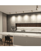 DK8020-BG Denkirs light