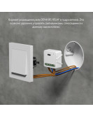 RL1001-SM Одноканальное Wi-Fi реле-выключатель 1 x 2300 Вт / 250 Вт для LED RL1001-SM Одноканальное Wi-Fi реле-выключатель 1 x 2300 Вт / 250 Вт для LED