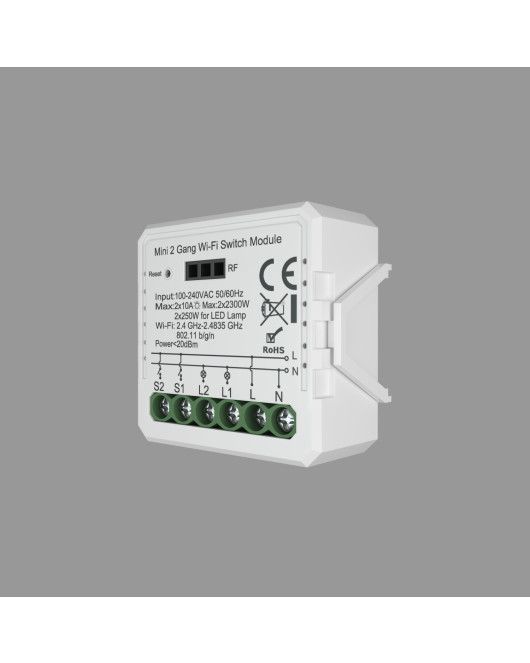 RL1002-SM Denkirs light