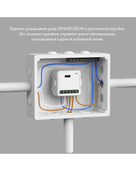 RL1003-DM Одноканальное Wi-Fi реле-диммер 1 x 200 Вт