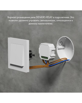 RL1004-DM/1 Denkirs light