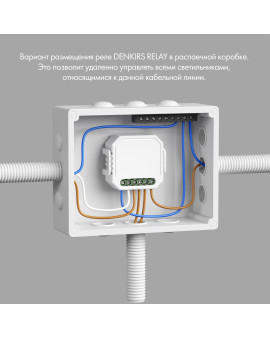 RL1004-DM/1 Двухканальное Wi-Fi реле-диммер 2 x 100 Вт